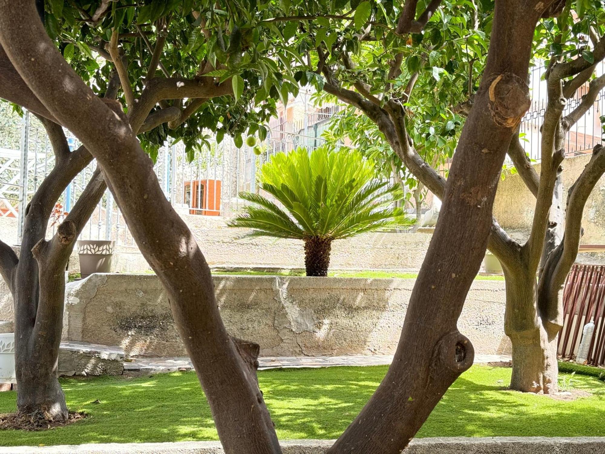 Apartament Tropea Solemare Zewnętrze zdjęcie